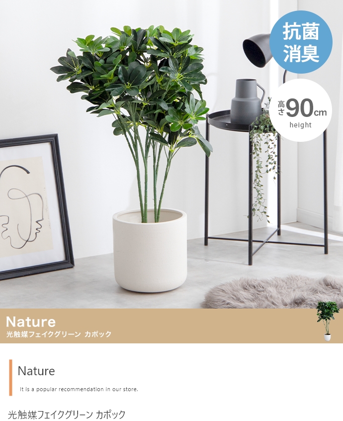 【高さ90cm】Nature 光触媒人工観葉植物 カポック