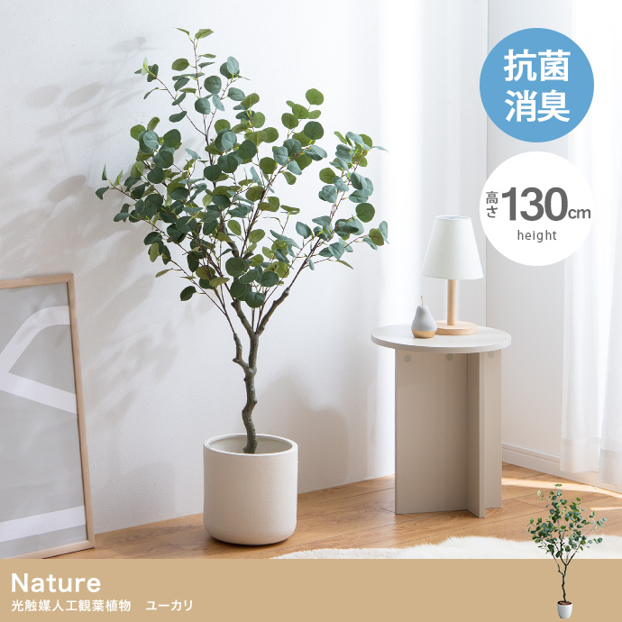 【高さ130cm】Nature 光触媒人工観葉植物　ユーカリ