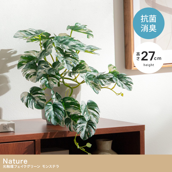 【高さ27cm】光触媒人工観葉植物 モンステラ