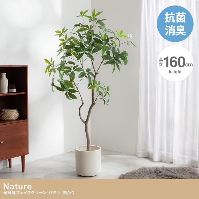 【高さ160cm】光触媒人工観葉植物 パキラ 曲がり