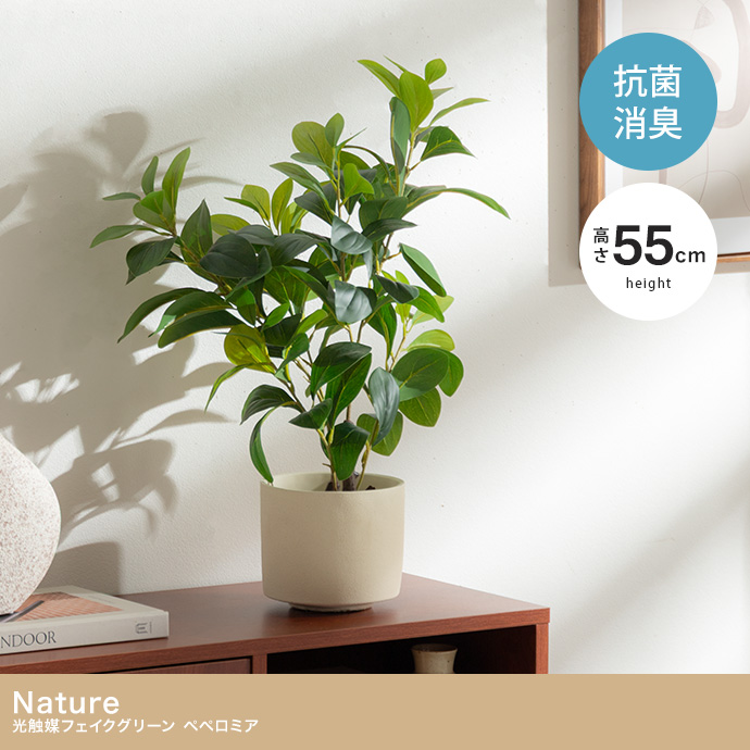 【高さ55cm】光触媒人工観葉植物 ペペロミア