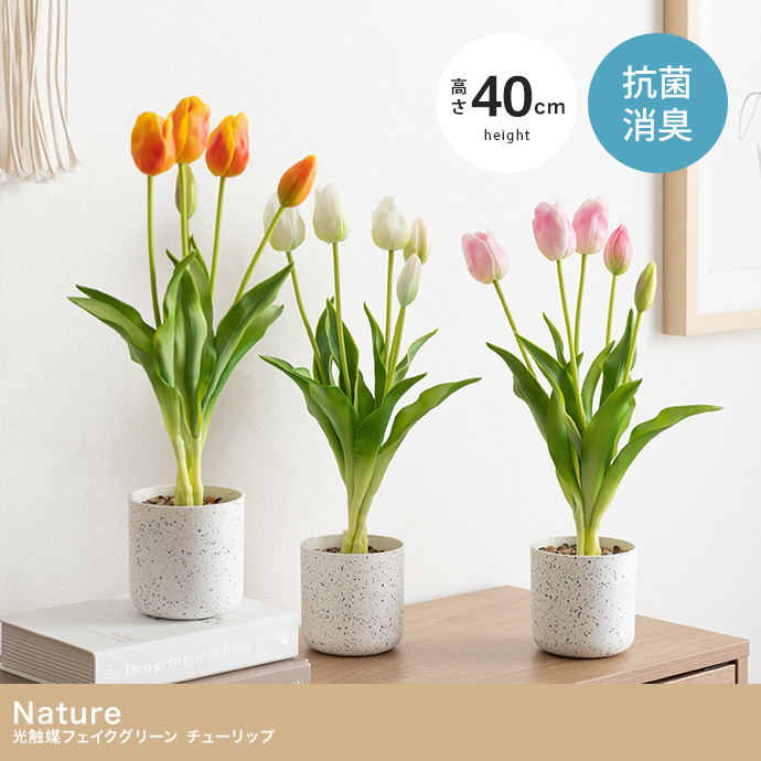 【高さ40cm】光触媒人工観葉植物 チューリップ
