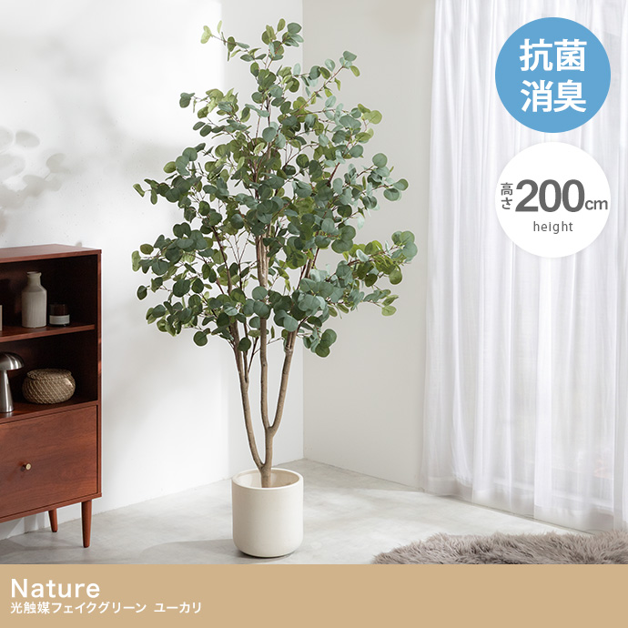 【高さ200cm】光触媒人工観葉植物 ユーカリ