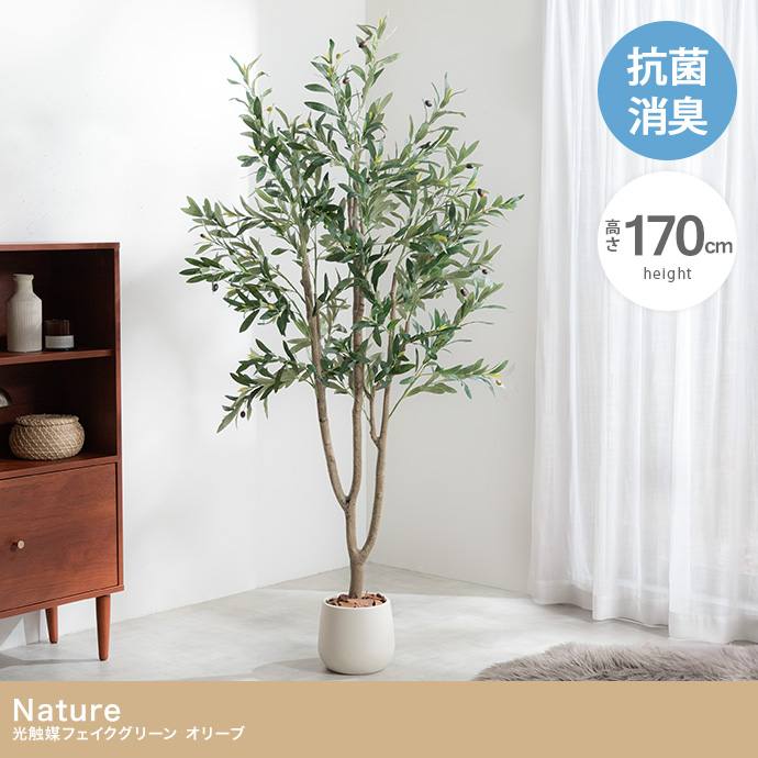 【高さ170cm】光触媒人工観葉植物 オリーブ